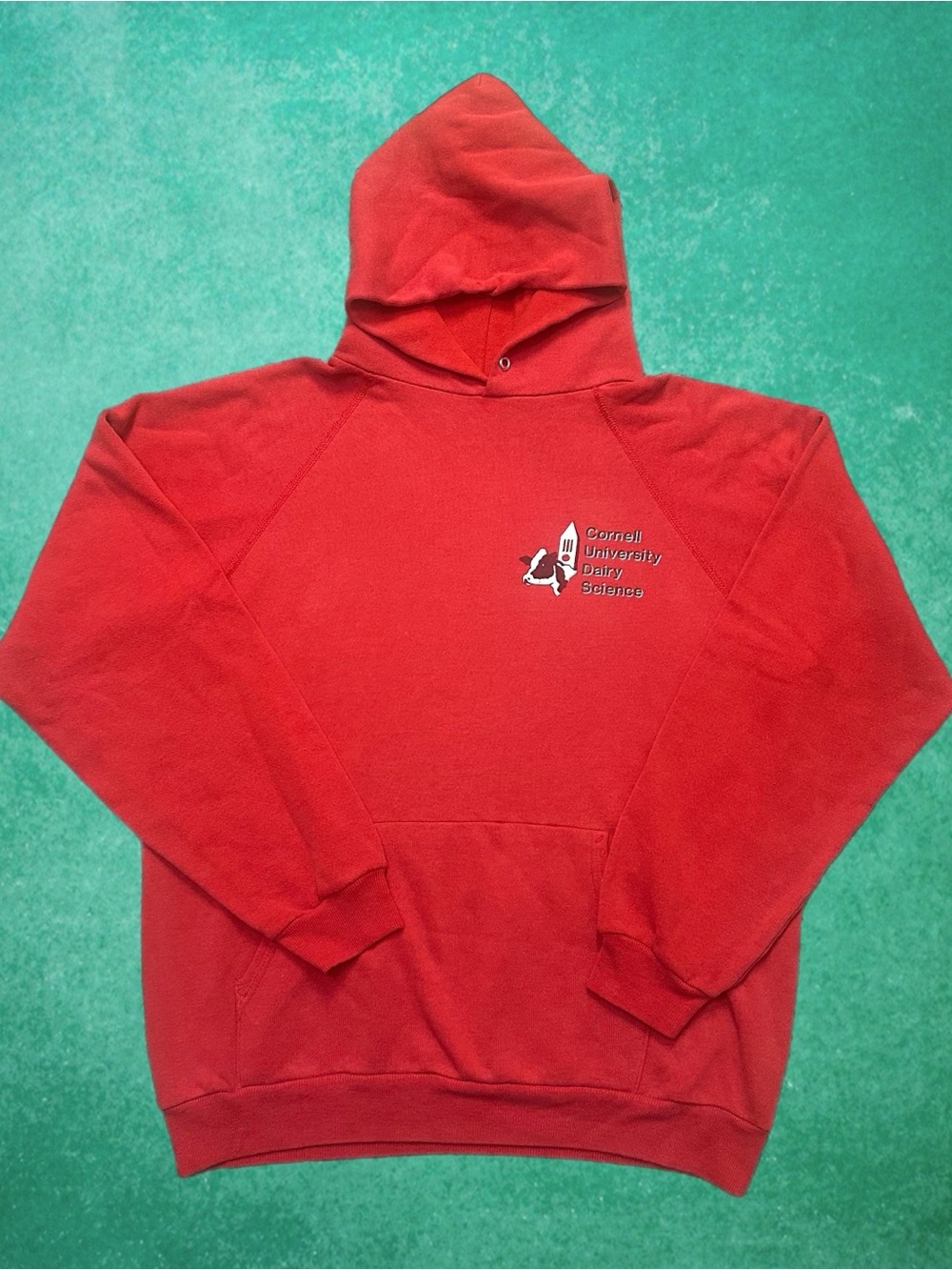 Vintage Cornell University Dairy Science Hoodie